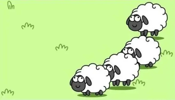 2017羊小咩便荔卡套安全性全解析，材质、案例与避坑指南