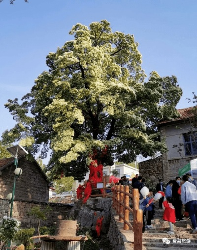 费县最新打卡景点排行榜！本地人私藏的5大宝藏地+避坑指南，附详细攻略