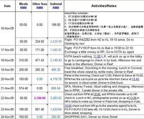 宾馆住宿记录查询全攻略，方法、注意事项与案例解析