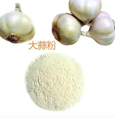 广东脱水蒜粒加盟品牌大全，探秘市场热门品牌