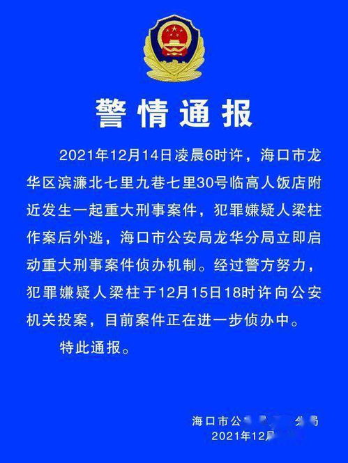 手把手教你查酒店开房记录，合法途径、风险提示与真实案例解析