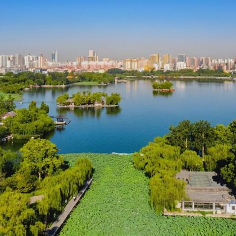让年轻人回村，乡村振兴的新招式与老智慧