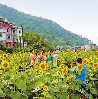 打造诗画乡村，让绿水青山成为百姓幸福家园