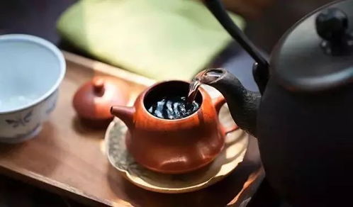 黑金茶叶品牌避坑指南，手把手教你选到会呼吸的顶级岩茶