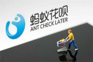 花呗过年不让取现