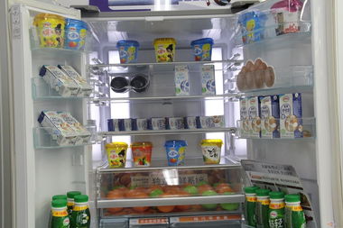 万元级冰箱选购指南，高端品牌性能对比与真实使用体验