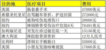 贵阳鸭绒被保养价格解析，一斤多少钱？附省钱攻略与真实案例