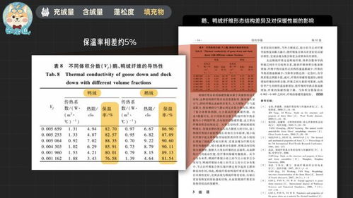 贵阳鸭绒被保养价格解析，一斤多少钱？附省钱攻略与真实案例