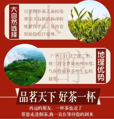 大沙田茶叶推荐品牌指南，喝出广西风土人情的好茶单