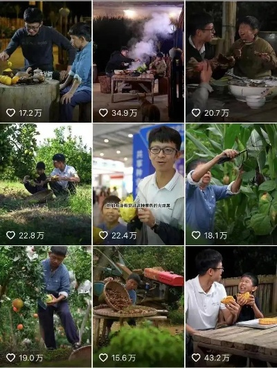 一个人玩转乡村短视频，从零到百万流量全攻略