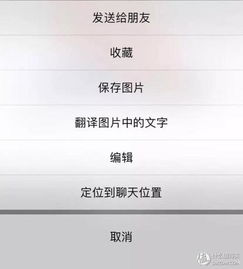 掌握微信隐私的秘诀，如何查看别人的聊天记录