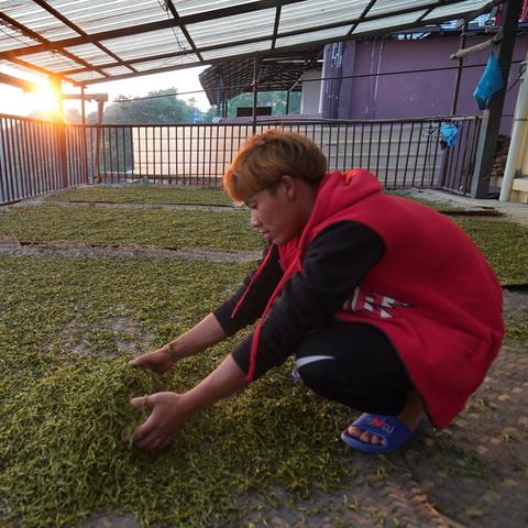 茶叶品牌拍摄方案全解析，从场景设计到案例拆解的实用指南
