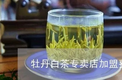 菏泽牡丹茶品牌专卖店电话全攻略，如何找到正宗好茶？