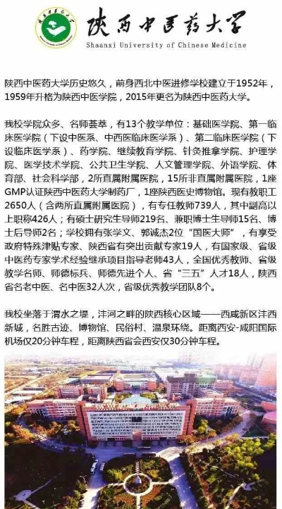 陕西中医药品牌发展概览