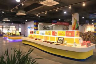 邵阳脑科学早教加盟店成功案例分析