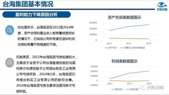 品牌加盟项目资料库，深度解读与案例分析