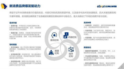 沙发品牌解析报告，从产品到消费的深度洞察