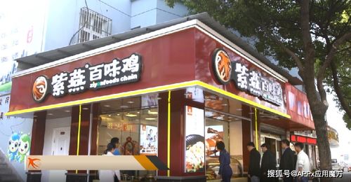 河北百条鸡加盟品牌大盘点