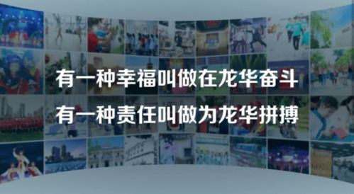龙华早托班加盟品牌大盘点—品牌选择与案例分析