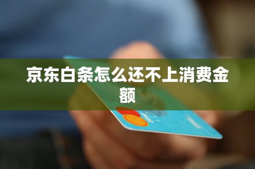 临沂京东白条提现号，如何安全高效地实现资金周转