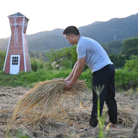 乡村规划师考试全攻略，从备考到拿证的实用指南