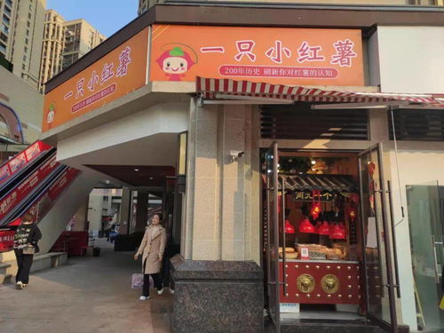 杭州烤薯店加盟品牌推荐及案例分析