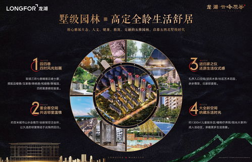 白条买什么套出来方便？看这篇全明白！
