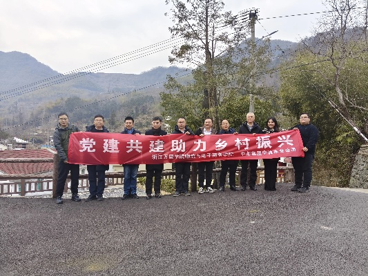 党建引领聚合力 乡村振兴谱新篇