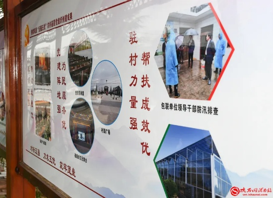 党建引领聚合力 乡村振兴谱新篇