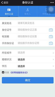 提升淘宝先用后付额度购买手机的实用攻略