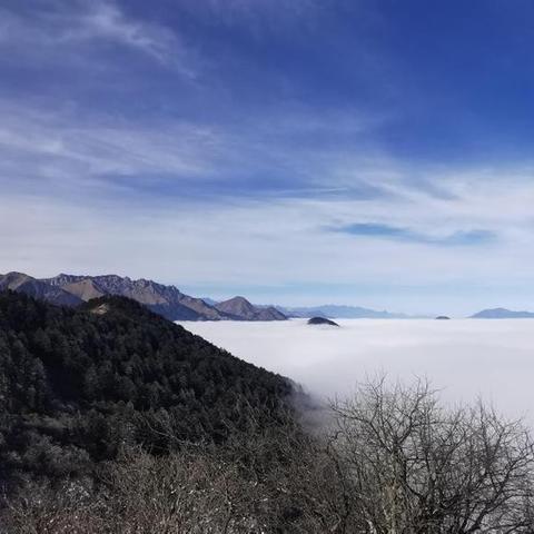 元旦必打卡！2023最火景点排行榜+避坑指南