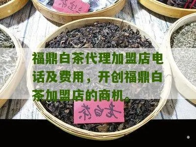 福鼎沙发加盟店品牌推荐