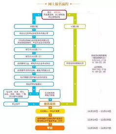 揭秘酒店入住记录查询，流程、方法与注意事项