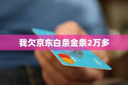 京东白条小额度提现详解，操作指南、注意事项与案例分析