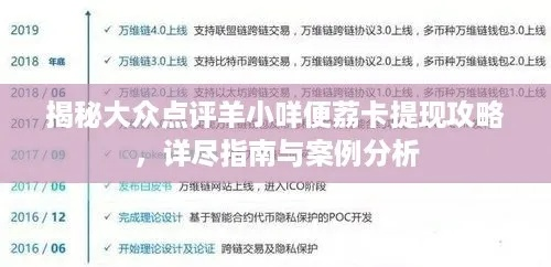手把手教你羊小咩便荔卡百度网盘提现全攻略（附避坑指南+真实案例）