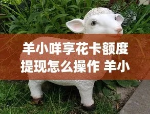 羊小咩享花卡额度能提吗？手把手教你科学提额+安全提现全攻略