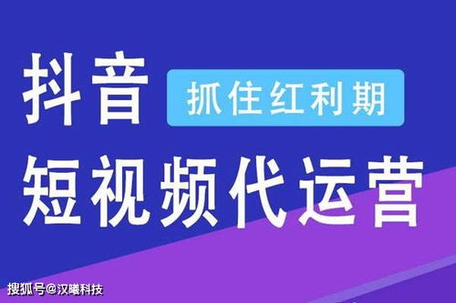 抖音月付大额套出，真的靠谱吗？深度解析背后的风险与注意事项