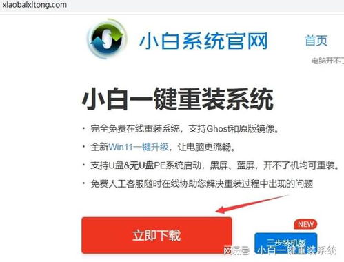揭秘陌陌直播人气密码，3大核心策略+实操案例，小白也能轻松破万粉