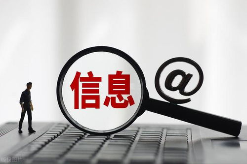 夫妻信任危机中的隐私调查指南，合法途径与风险警示