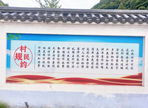 青春力量绘就美丽乡村新画卷—青年干部在乡村振兴中的实践路径