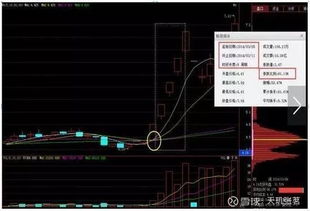 裤架五金品牌全解析，从选购技巧到市场趋势，一篇说透行业干货