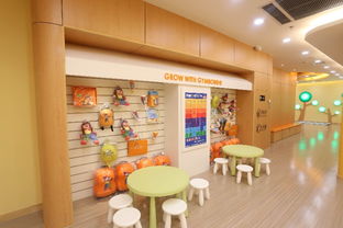 济源早教加盟店精选指南