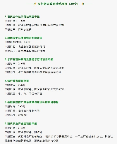 村集体申请乡村振兴资金全流程指南，从准备材料到成功获批的实战经验