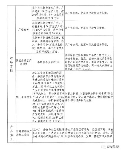 村集体申请乡村振兴资金全流程指南，从准备材料到成功获批的实战经验