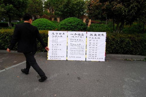 从菜鸟到情报站卧底，我在乡村做信息中介的实战指南