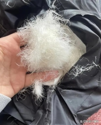 街头充鸭绒被能买吗？安全吗？一招教你避坑