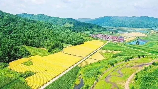 乡村振兴中的八字真经，激活乡村发展的八个关键密码