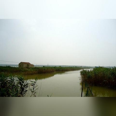 射阳县京东白条提现指南