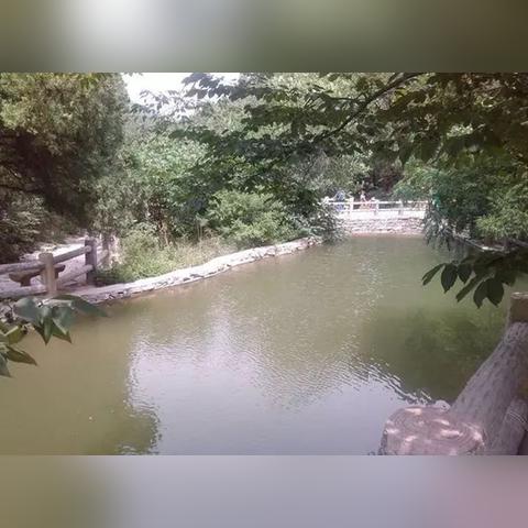 小众白酒专卖店命名指南，用名字讲好中国酒的故事