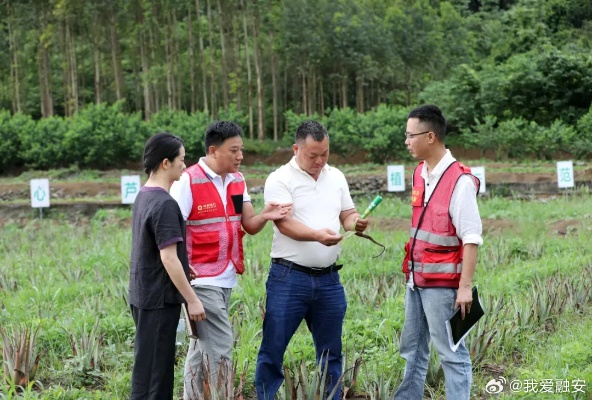 乡村振兴四防联动，筑牢乡村安全屏障，共绘振兴新图景